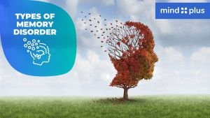 types of memory disorder